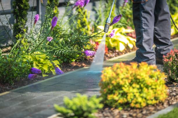 Best Spring Cleaning  in Tillson, NY